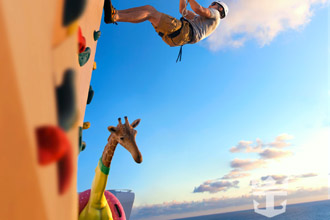 Rock Climbing Wall