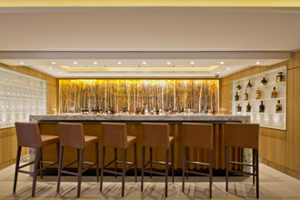 Viking Bar