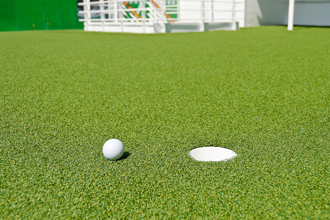 Golf Net
